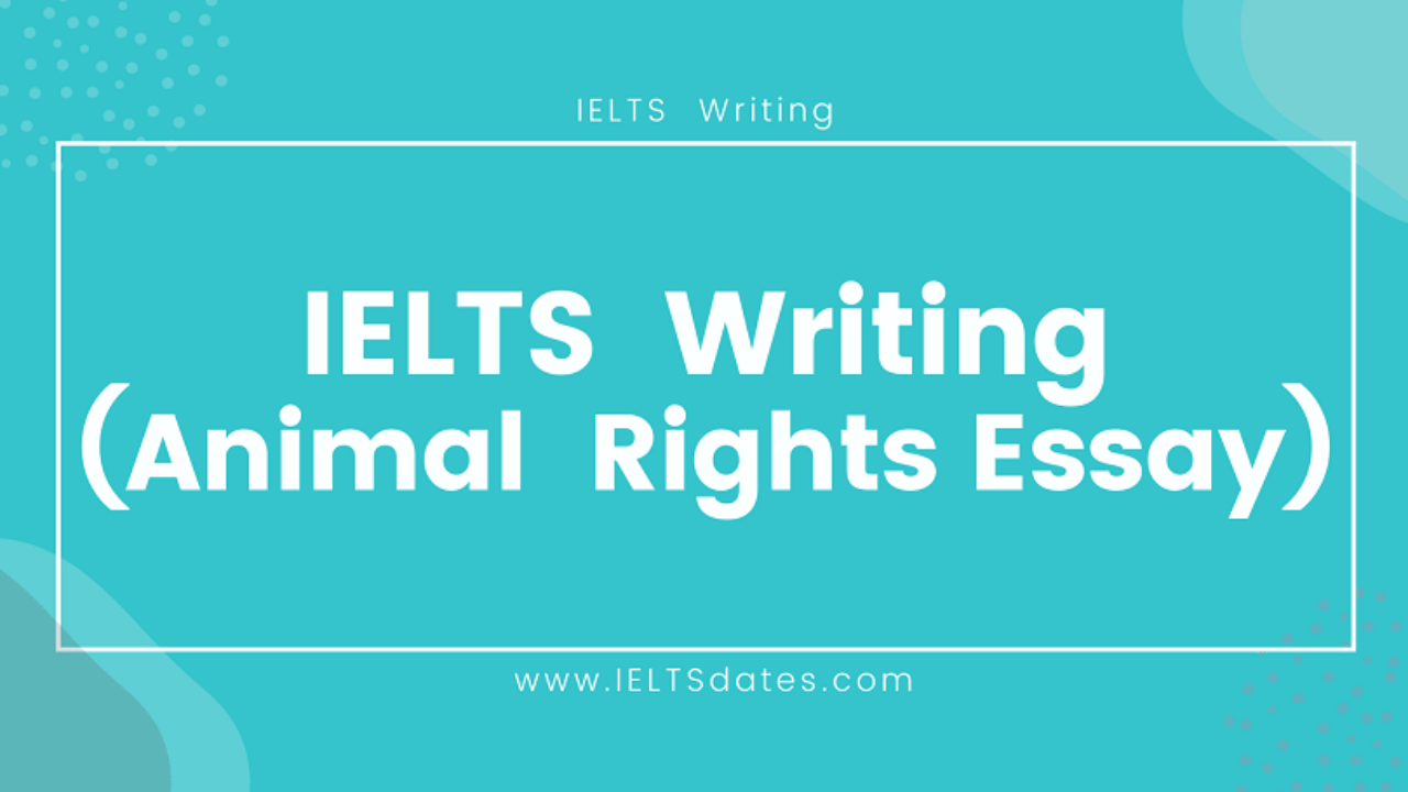 How to Write an Animal Rights Essay in IELTS Writing Exam? - IELTS Dates How to Write an Animal Rights Essay in IELTS Writing Exam? - IELTS Dates