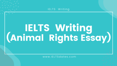 How to Write an Animal Rights Essay in IELTS Writing Exam