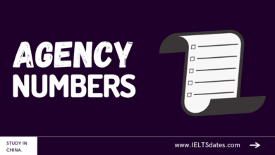 Chinese Universities Agency Numbers List [Latest 2022 Updated]