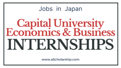 Capital University of Economics & Business Scholarships 2022-2023 CSC Scholarships by China Scholarship Council