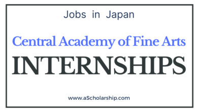 Central Academy of Fine Arts Scholarships 2022-2023 CSC Scholarships by China Scholarship Council